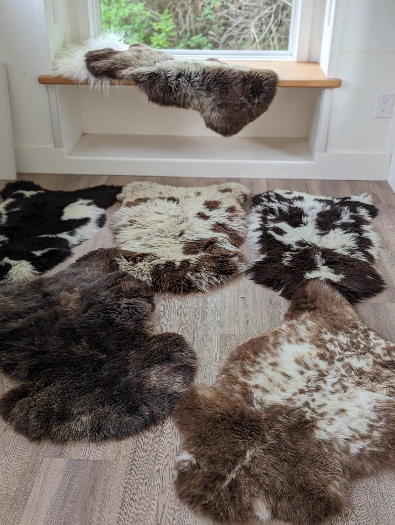 Discover the Beauty of British Sheepskins at Angus Oliver Luxury Sheepskins