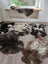 Discover the Beauty of British Sheepskins at Angus Oliver Luxury Sheepskins