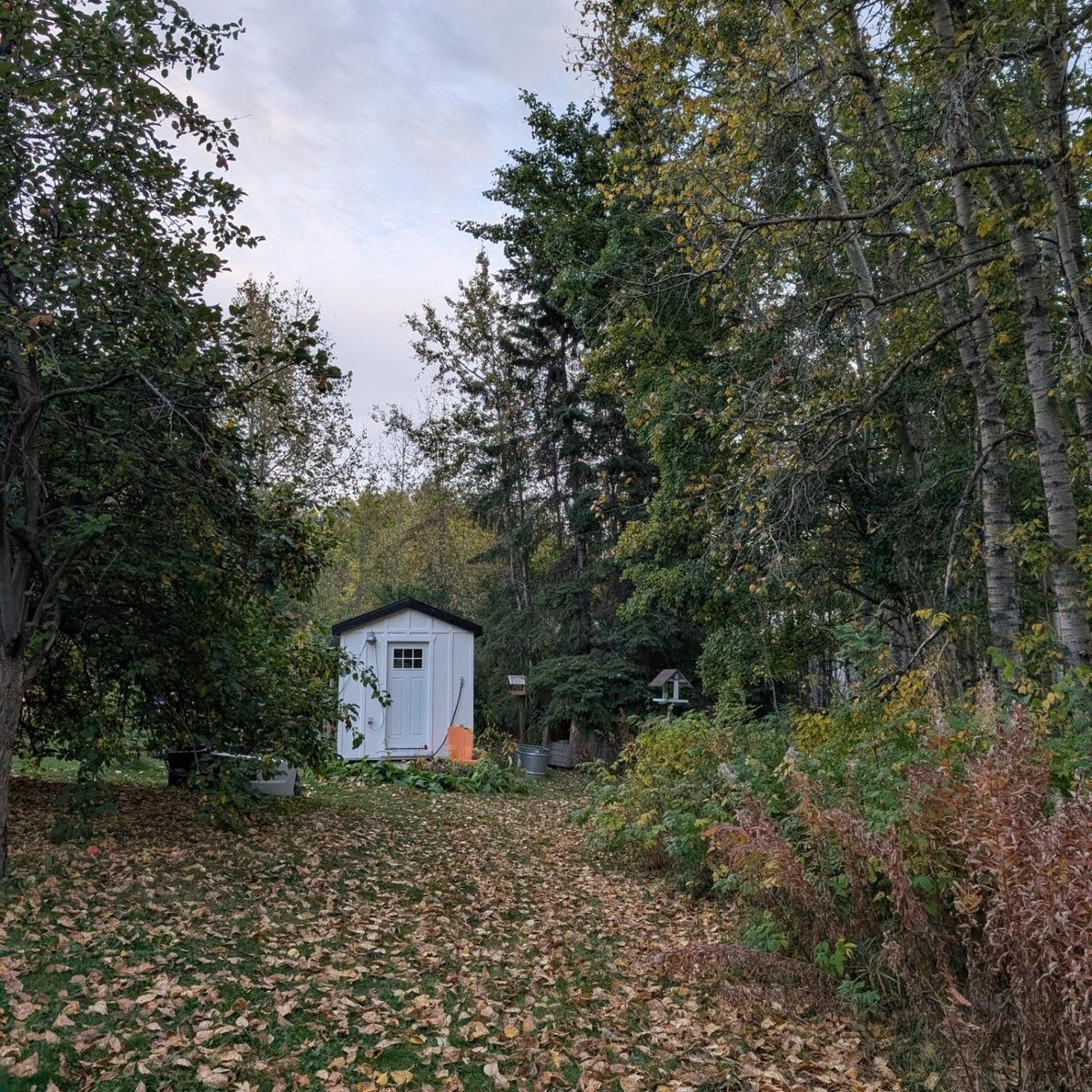 Life as a small business owner living in rural Alberta in 2026