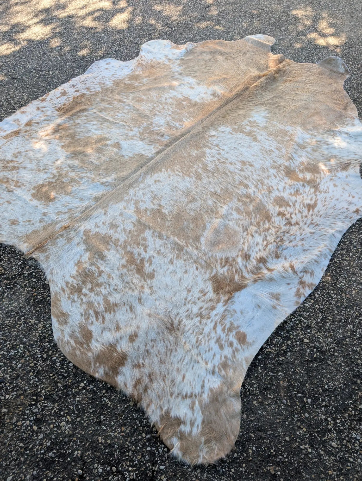 Cowhide Rugs Ordered From The Tannery