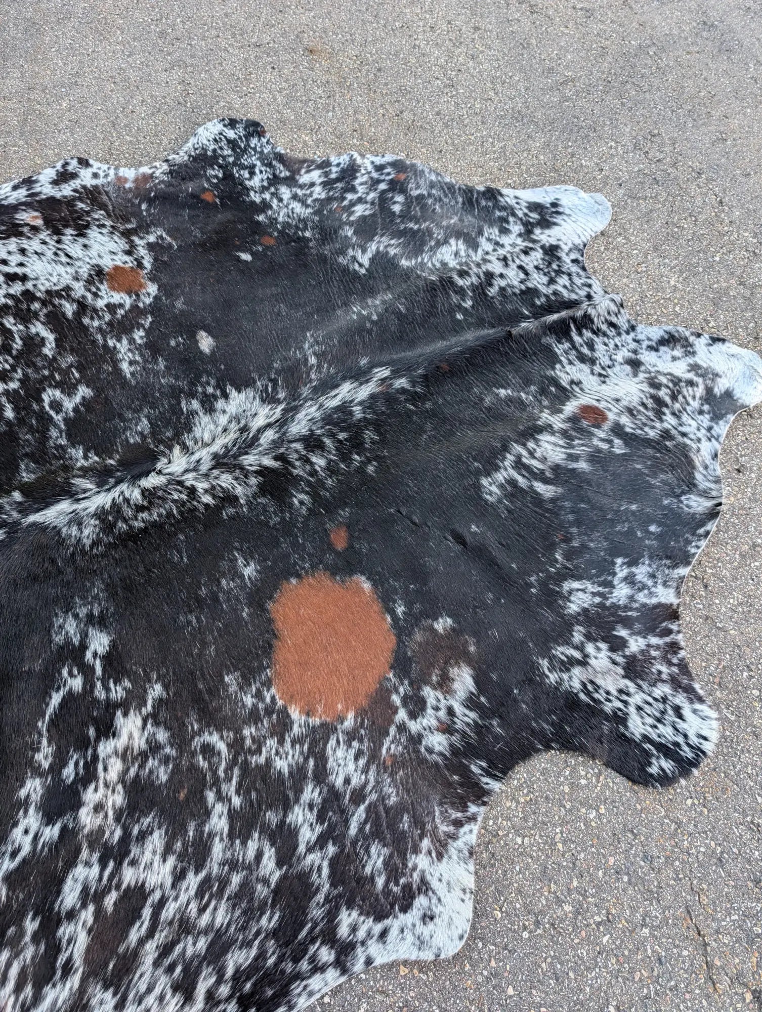 Deals For Subscribers