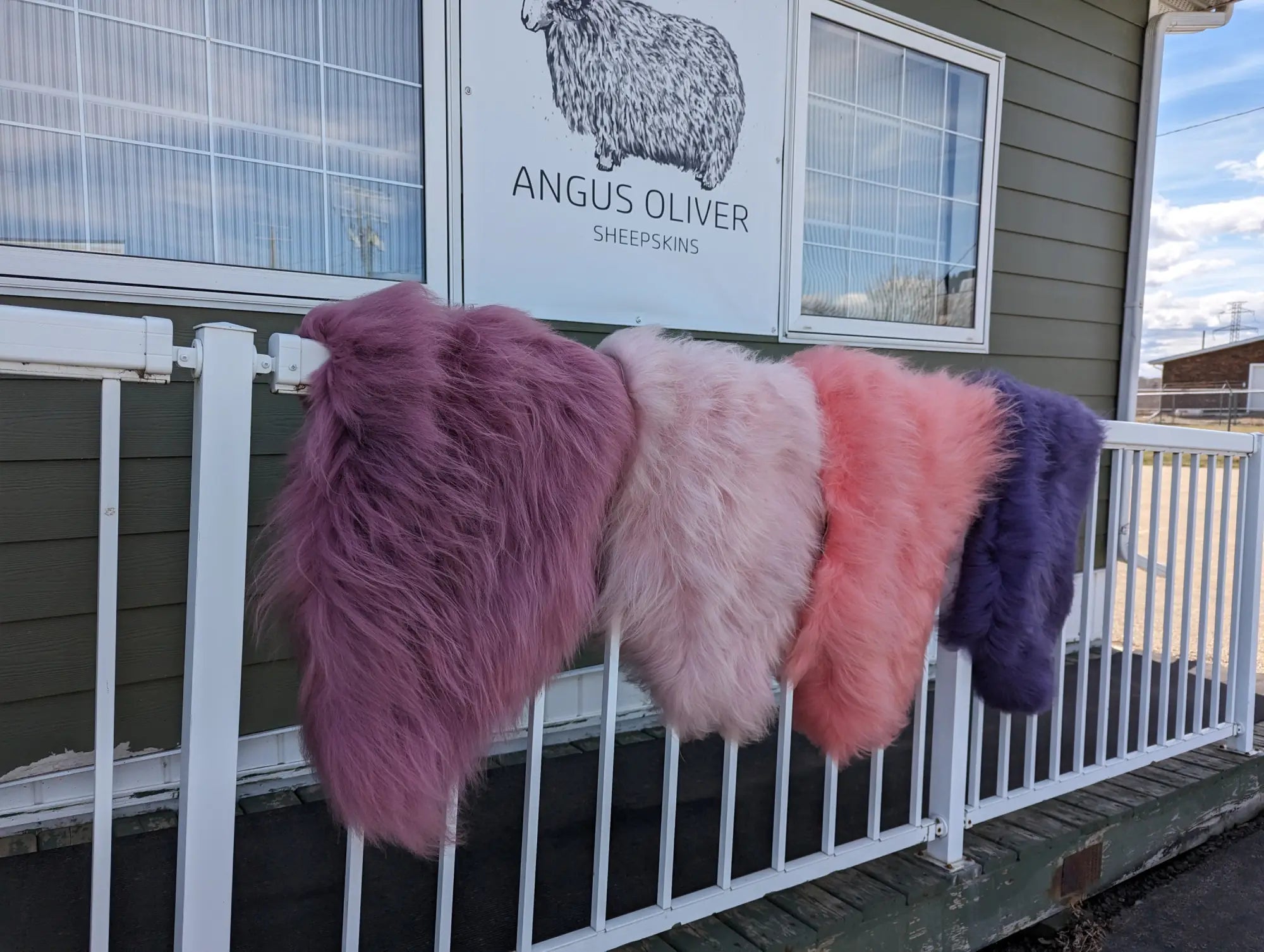 Dyed Sheepskin & Cowhide