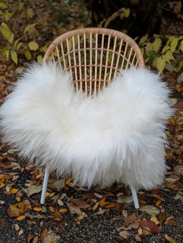 White fluffy long wool icelandic sheepskin throw draped over woven wicker chair for cozy decor