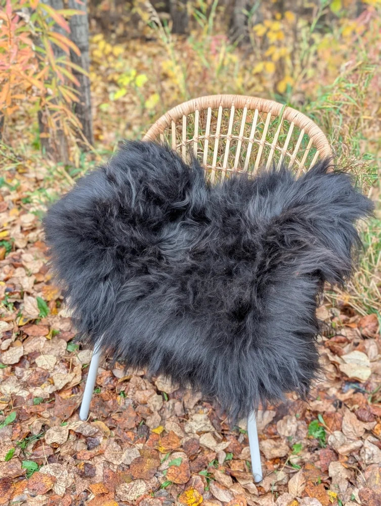 Black fluffy long wool icelandic sheepskin throw draped over a wicker chair for cozy decor
