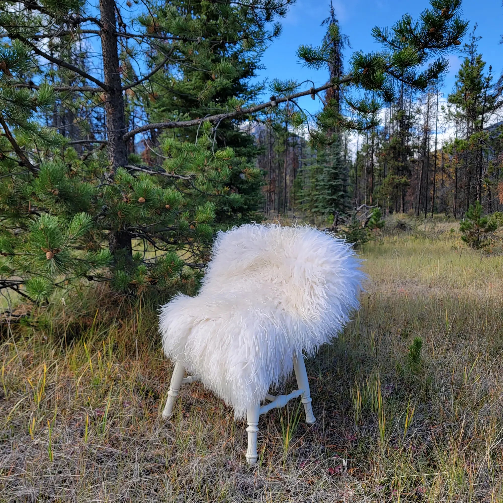 Icelandic Sheepskins