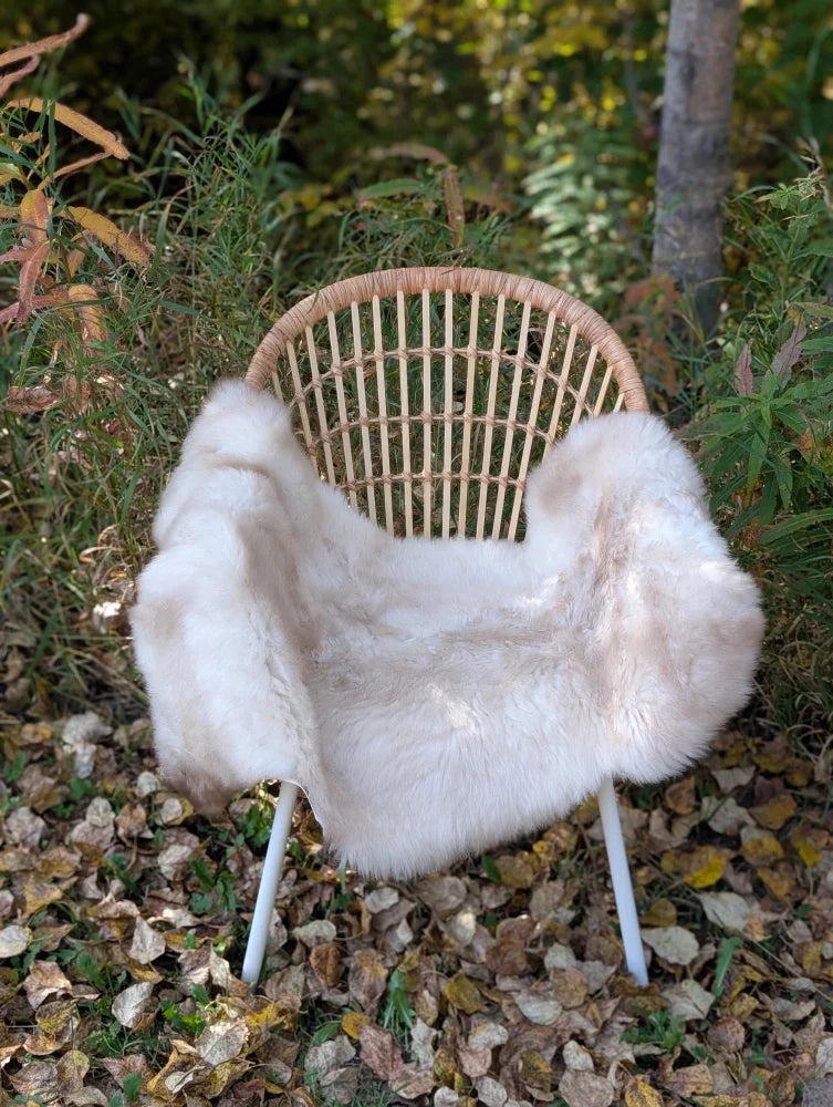 A soft fluffy white british isles sheepskin faux fur throw draped over a woven rattan chair with metal legs