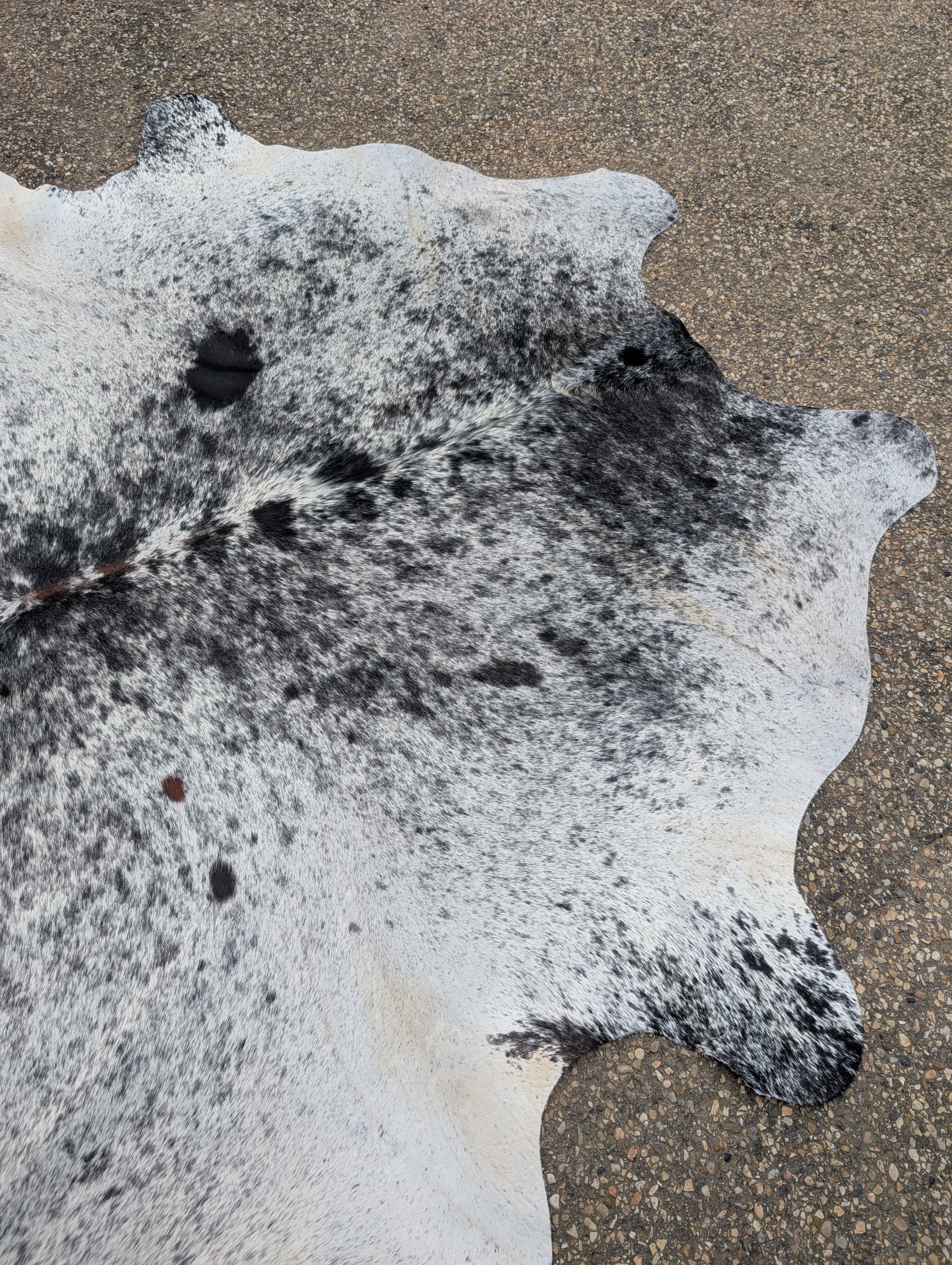 Cowhides to clear out