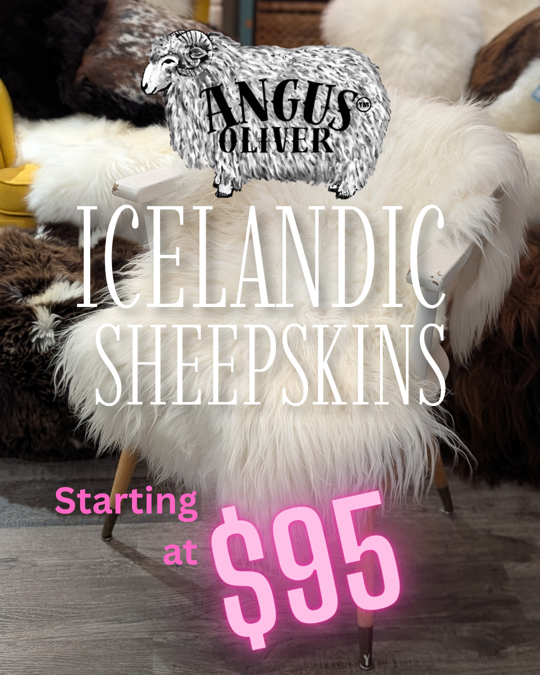 Summer Deals
