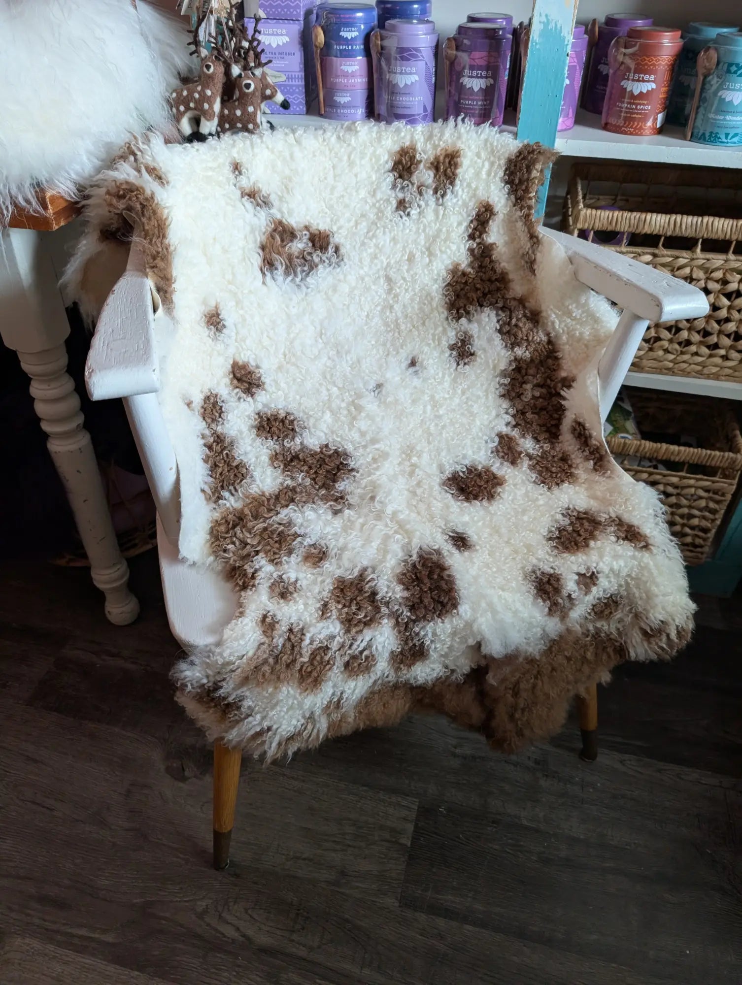 Spotted Highland Sheep