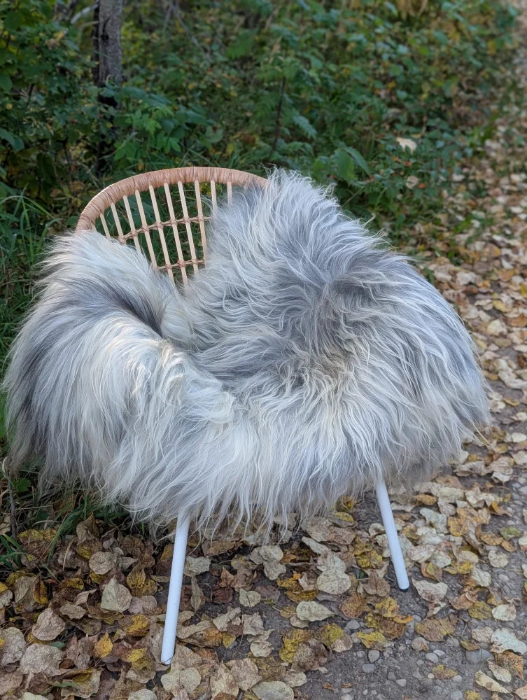 A plush long wool icelandic sheepskin throw in natural grey draped over a woven rattan chair with white legs
