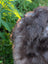 A fluffy dark gray british isles sheepskin with thick fur and a lighter patch on the back side of the product