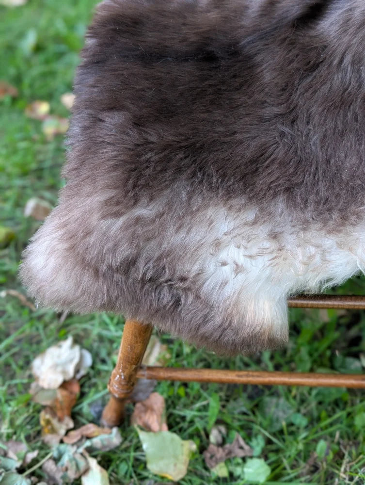 A plush dark gray british isles sheepskin rug with soft dense fur and lighter underfur at the edges