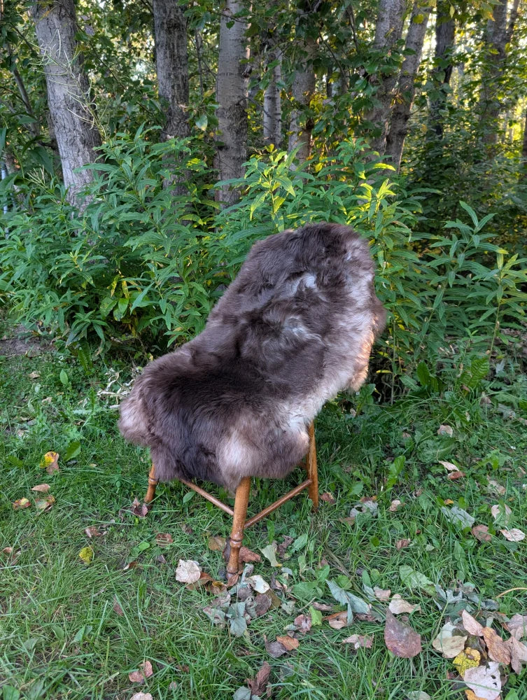 A plush british isles sheepskin rug in dark brown and gray fur draped over a wooden outdoor chair