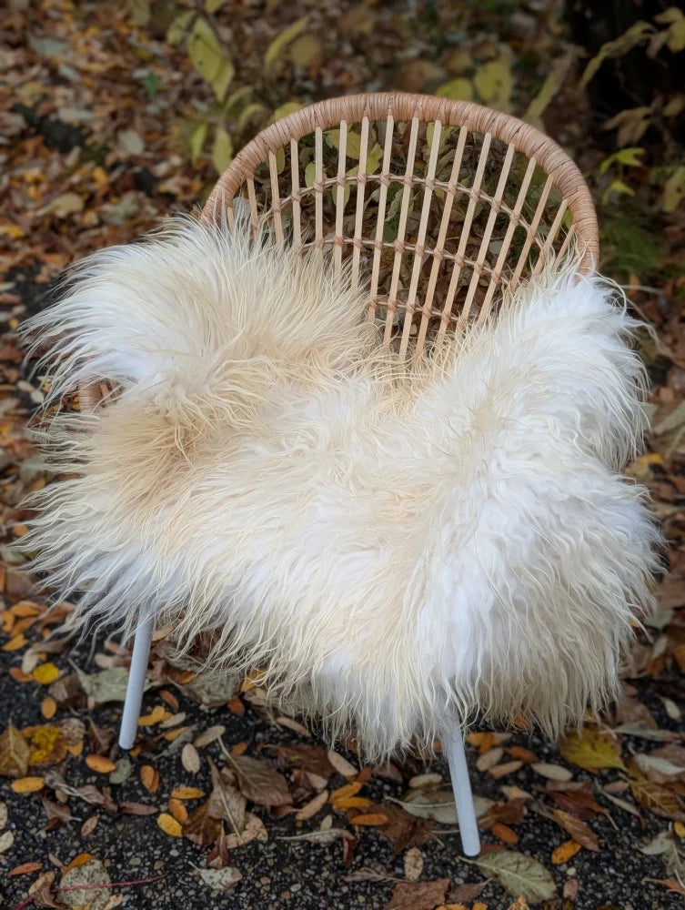 A cozy natural white icelandic sheepskin throw with long wool draped over a woven wicker chair with white metal legs