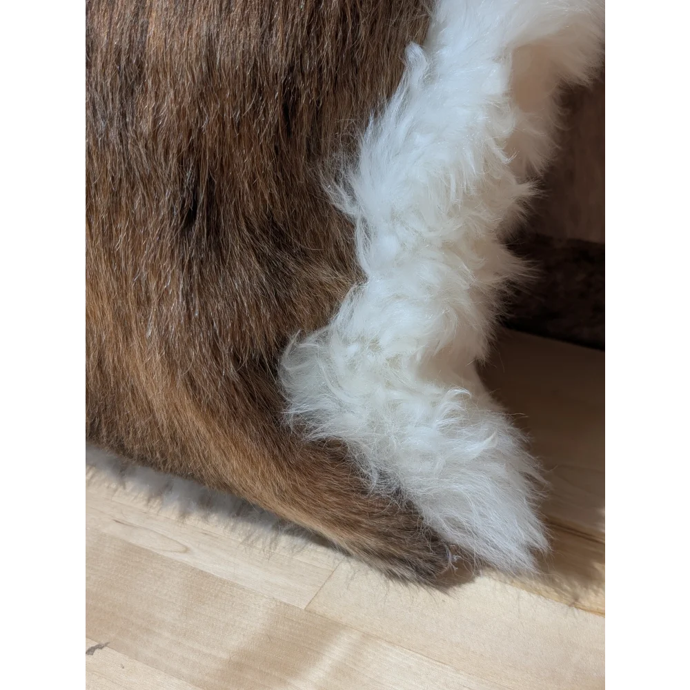 A fluffy white merino sheepskin paw with soft fur contrasting brown fur on angus oliver canada cowhide cushion