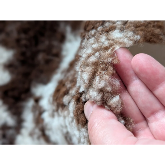 A hand gently holds a soft curly brown and white highland spotted grade a- sheepskin wool blend fabric