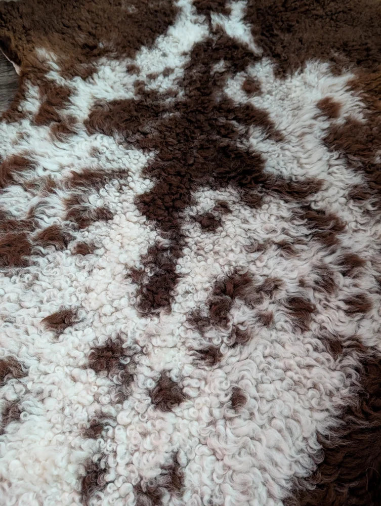 A plush grade a- highland spotted sheepskin rug with curly brown and white natural pattern from tibet highland