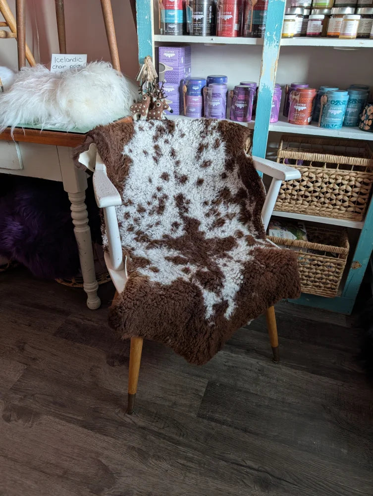 Brown and white highland spotted sheepskin grade a- draped over a vintage wooden chair with light legs