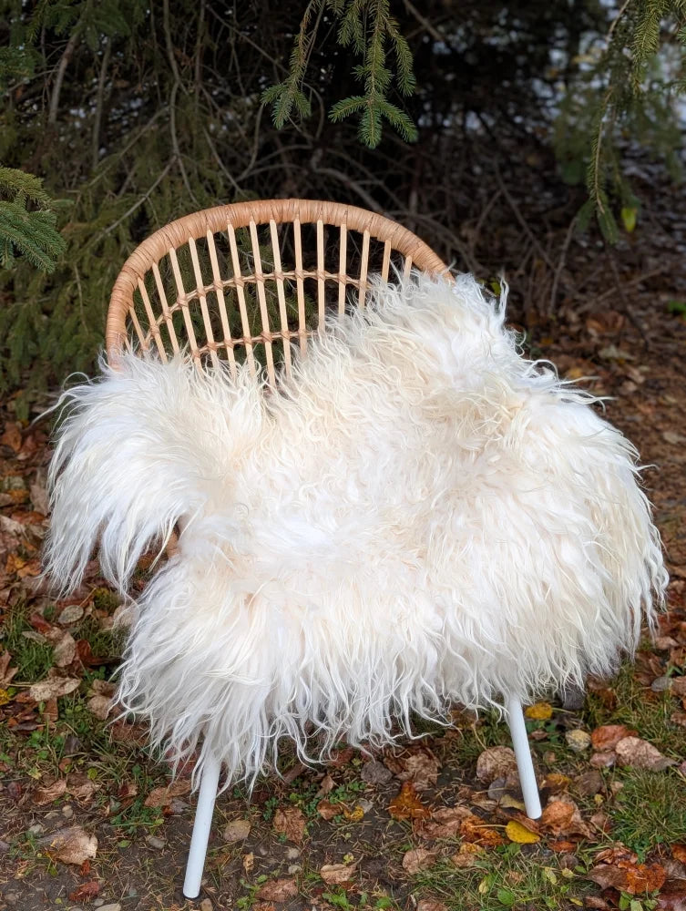 White fluffy natural white icelandic sheepskin long wool throw draped over wicker chair with white metal legs