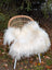 White fluffy natural white icelandic sheepskin long wool throw draped over wicker chair with white metal legs