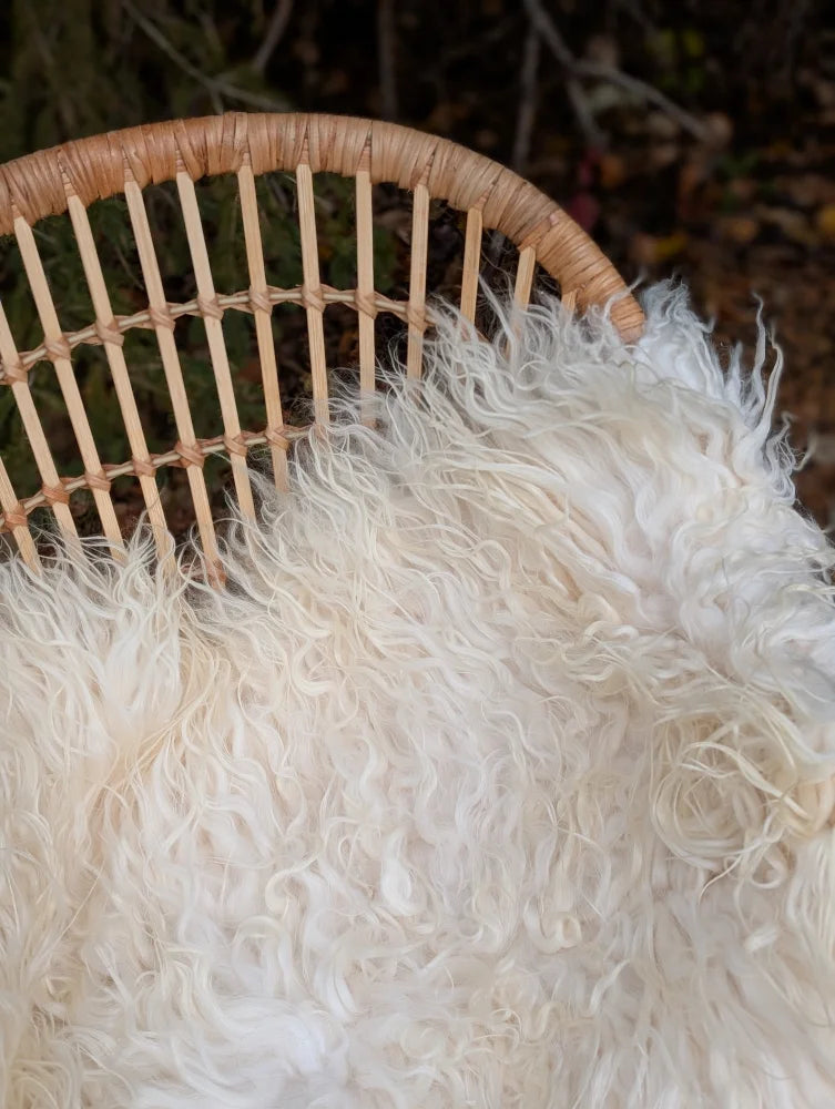 A plush natural white icelandic sheepskin throw with long wool fibers draped over a woven wicker chair