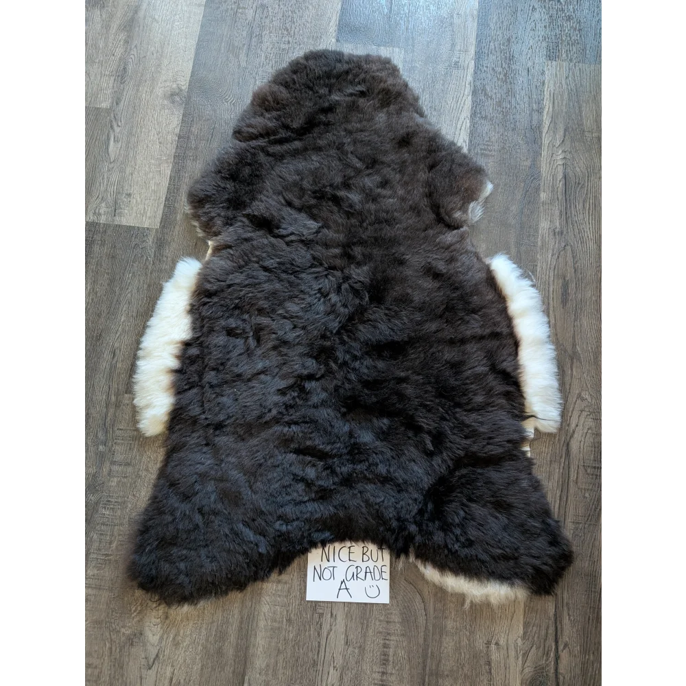 Dark brown standard grade short wool sheepskin rug with contrasting white icelandic sheepskin trim edges
