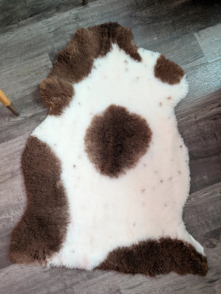 A plush grade a- sheepskin rug with a natural white and brown highland spotted cow-print pattern