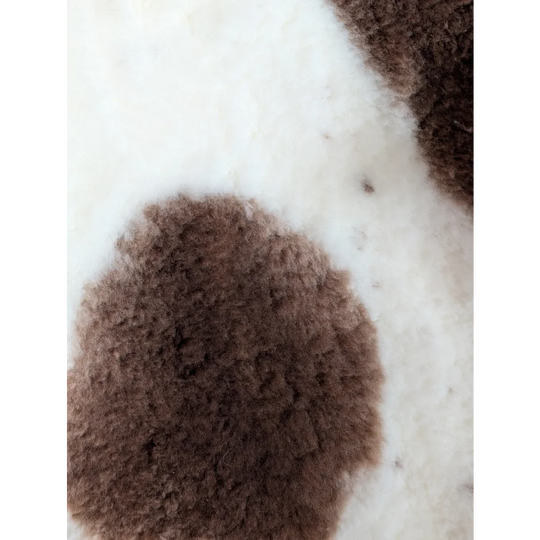 Brown fluffy highland spotted sheepskin patch on white background grade a- sheepskins detail