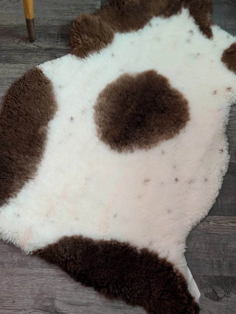 A plush grade a- sheepskin rug with a white and brown highland spotted cow print pattern