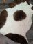 A plush grade a- sheepskin rug with a white and brown highland spotted cow print pattern