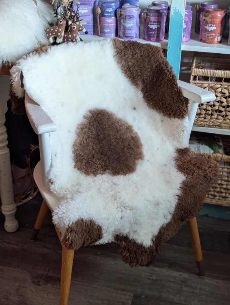 A cozy, grade a- highland spotted sheepskin rug with white and brown patches draped over a wooden chair
