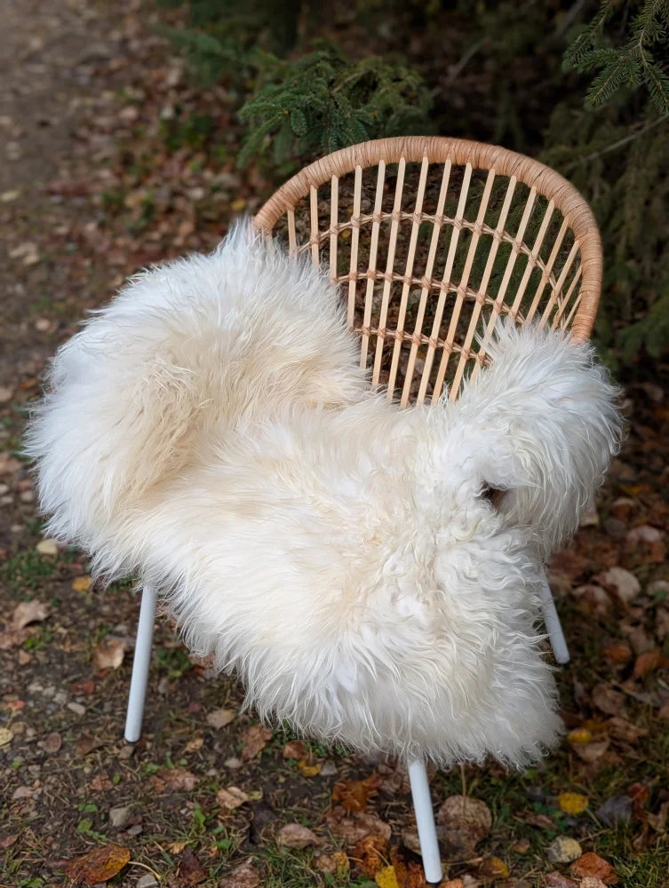 White fluffy large long wool natural white icelandic sheepskin draped over woven rattan chair with white metal legs