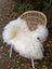 White fluffy large long wool natural white icelandic sheepskin draped over woven rattan chair with white metal legs