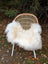 A cozy natural white icelandic sheepskin with long wool draped over a woven wicker chair with metal legs