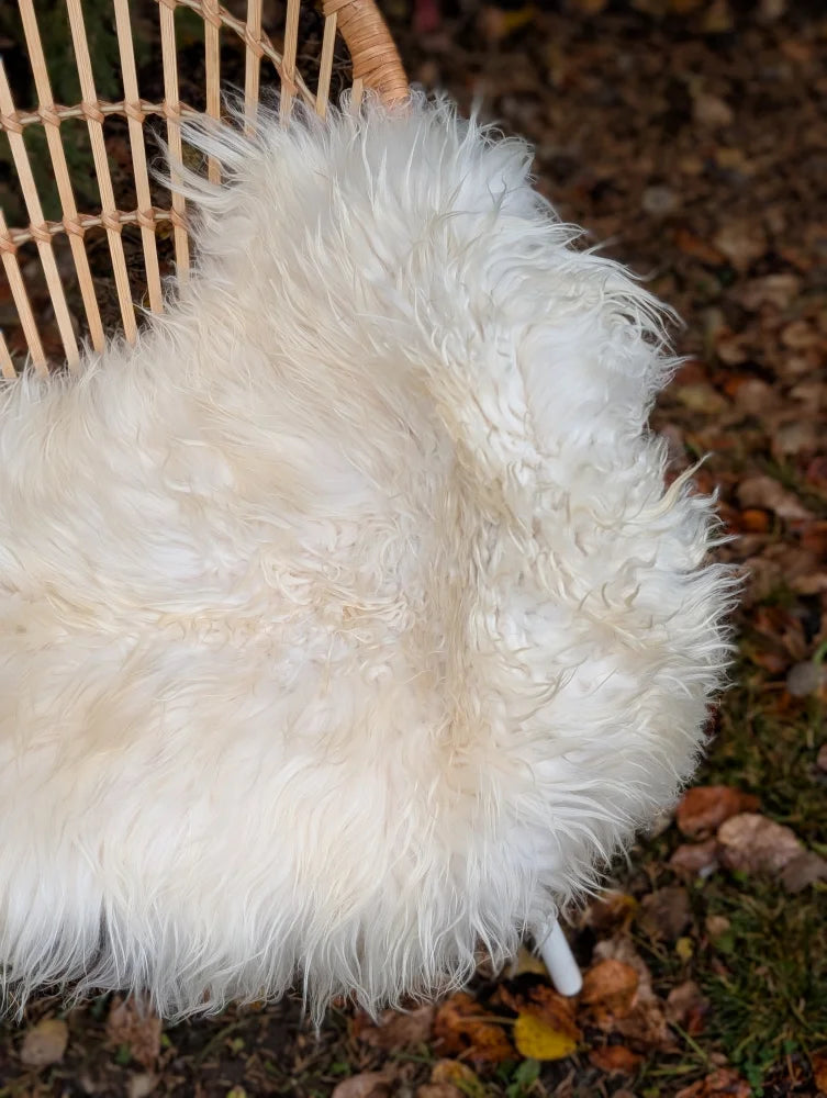 A plush off-white natural white icelandic sheepskin throw with long wool draped over a wicker chair