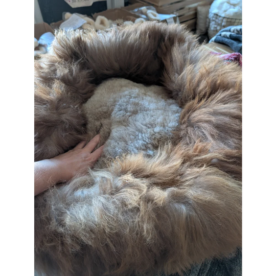 Cozy fluffy beige sheepskin pet bed with brown trim