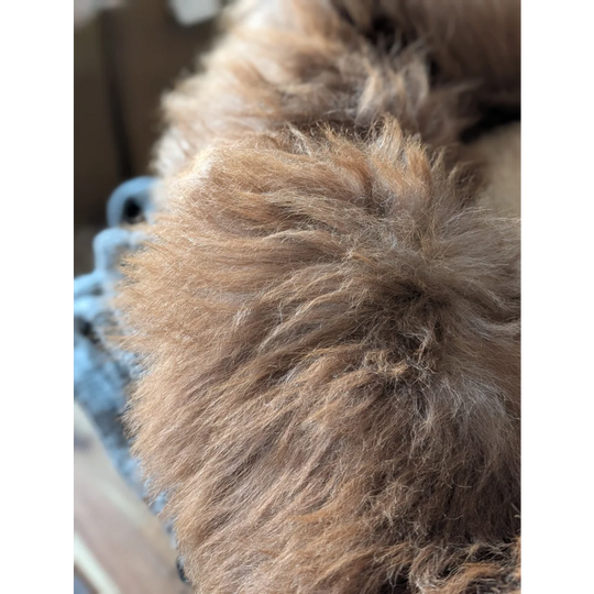 Fluffy beige cat toy ball on highland sheepskin pet bed