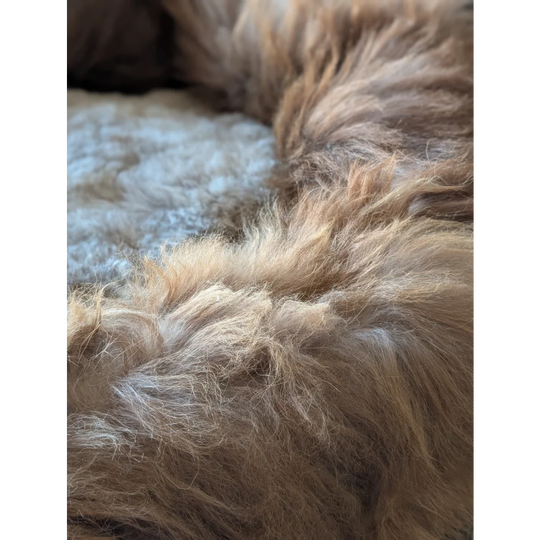 Fluffy beige highland sheepskin pet bed pillow cover