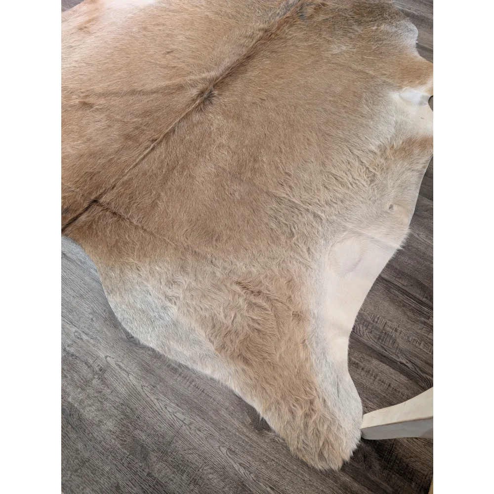 A beautiful extra large cowhide rug in tan and white with a plush textured surface adding rustic charm