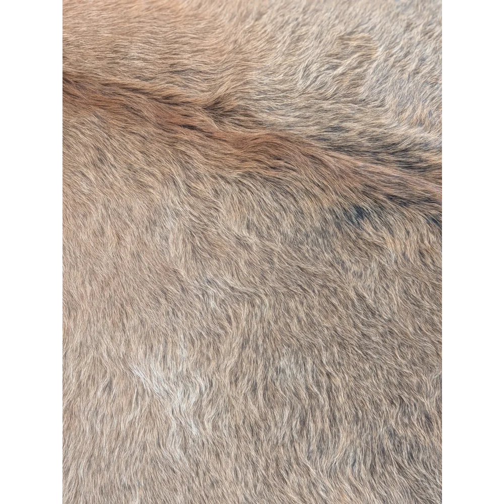 A soft extra large cowhide rug in natural beige and gray tones with a dense faux fur texture and rustic charm