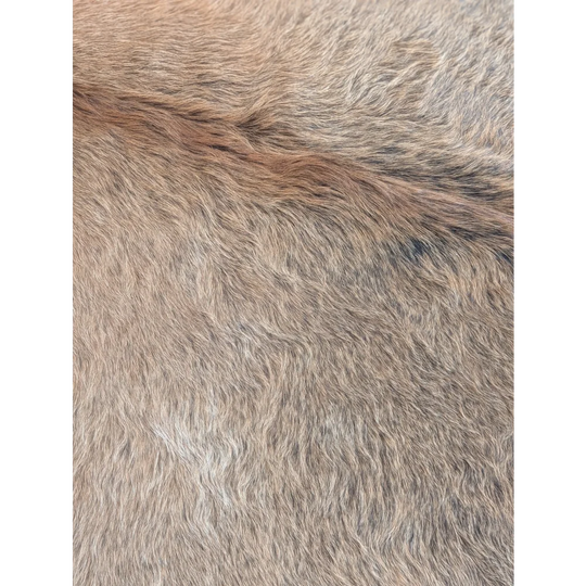 A soft extra large cowhide rug in natural beige and gray tones with a dense faux fur texture and rustic charm