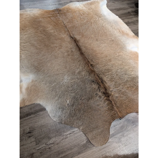 Tan and white extra large cowhide rug with natural fur texture perfect for adding rustic charm to beautiful rugs