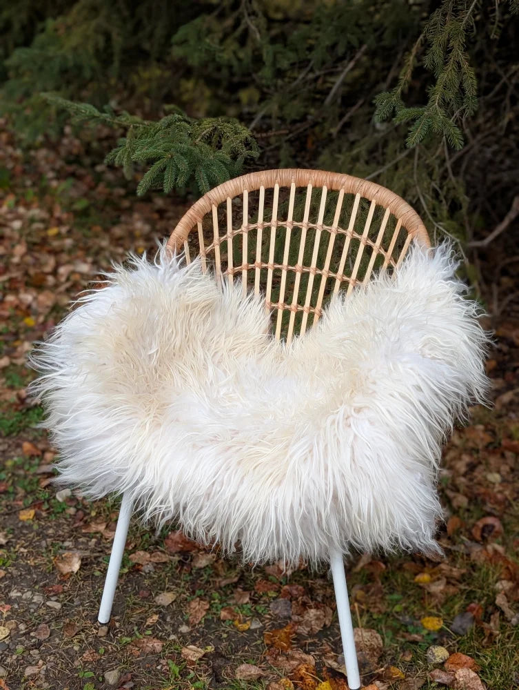A cozy natural white icelandic sheepskin long wool throw draped over a woven rattan chair with metal legs