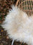 A large natural white icelandic sheepskin throw with long wool fibers draped over a wicker chair