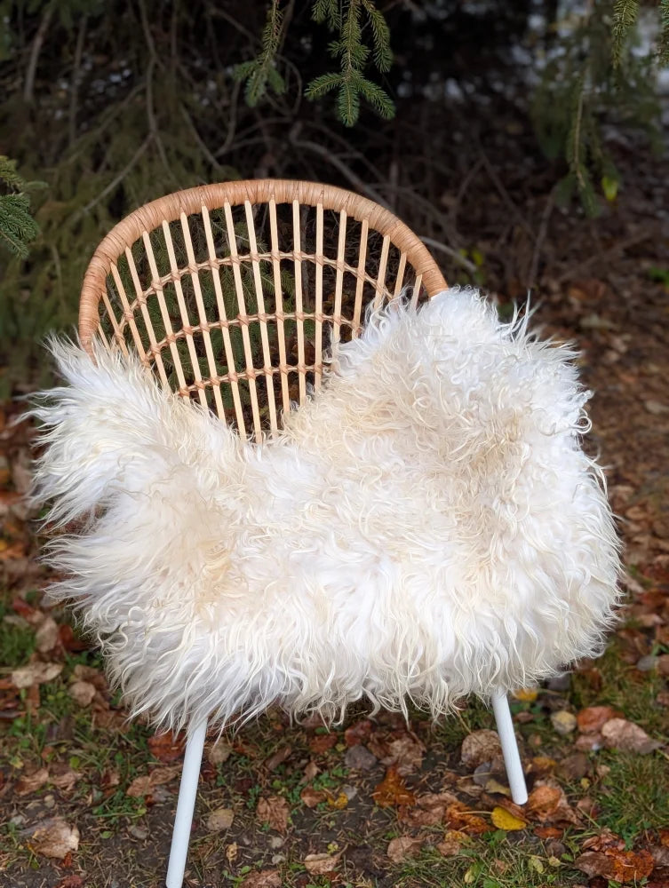 A cozy natural white icelandic sheepskin long wool throw draped over a woven wicker chair with white legs