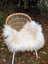 A cozy natural white icelandic sheepskin long wool throw draped over a woven wicker chair with white legs