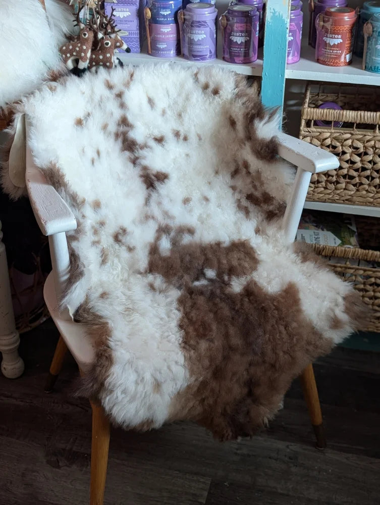 A fluffy white and brown highland spotted grade a- sheepskin rug draped over a wooden chair