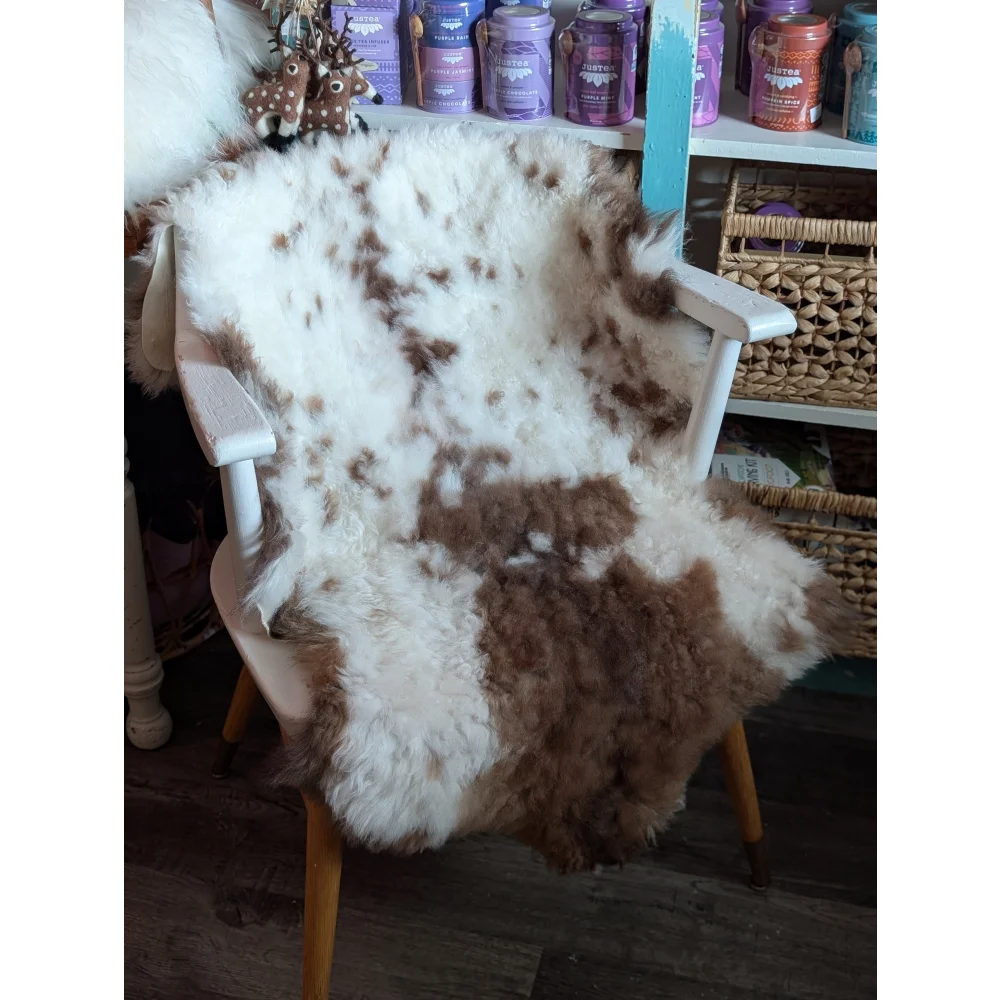 A fluffy white and brown highland spotted grade a- sheepskin rug draped over a wooden chair