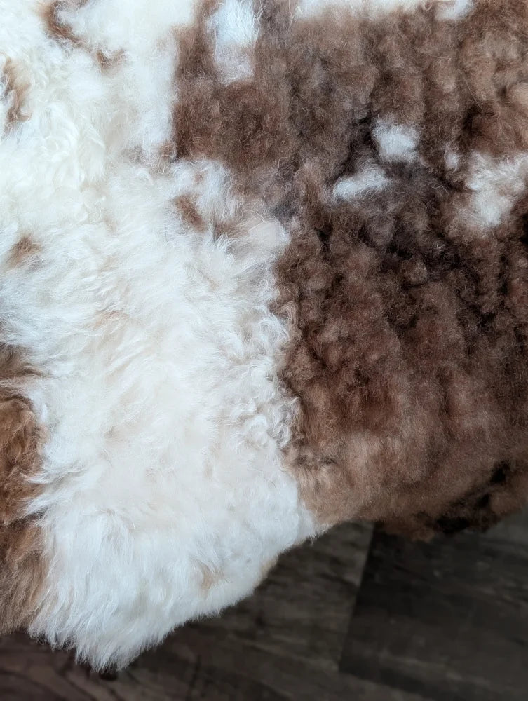 A plush grade a- highland spotted sheepskin rug with natural white and brown curly patchwork patterns