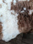 A plush grade a- highland spotted sheepskin rug with natural white and brown curly patchwork patterns